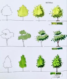 several different trees are drawn in green and yellow