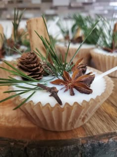 some pine cones are sitting on top of a wooden table with evergreen needles and star anisets