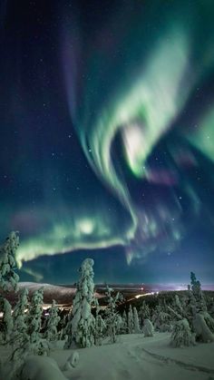 the aurora bore is seen in the sky above snow covered trees