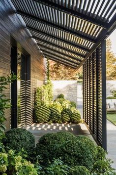 an outdoor area with some bushes and trees on the side of the building, along with a pergolated walkway