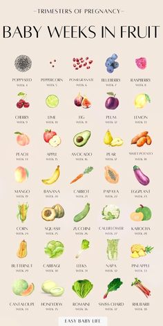 a poster with different types of fruits and vegetables on it's side, including the names