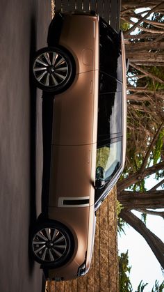 an overhead view of a car parked next to a tree