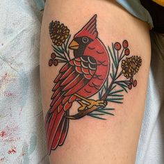 a red bird sitting on top of a branch with pine cones and berries around it