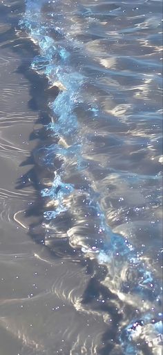 the water is crystal clear and blue