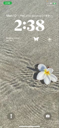 a white flower is laying on the sand in front of an iphone screen that reads 2 28