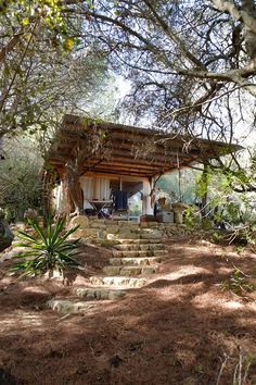 a small cabin in the woods with steps leading up to it