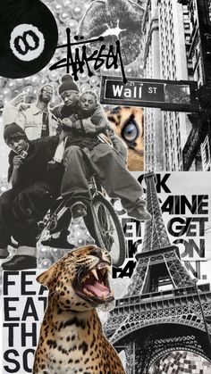 a collage of photos with the eiffel tower in the background and an animal yawning