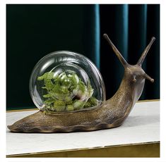 a snail is sitting on top of a table with some plants in it's shell