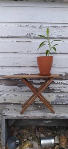 a potted plant sitting on top of a wooden bench