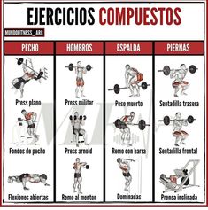 an exercise poster showing the different exercises to do with dumbbells and bench presses