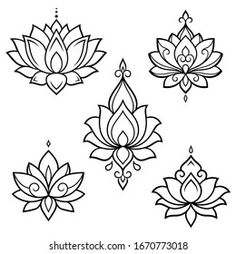 four different lotus flowers on a white background