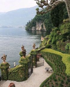 an outdoor area with hedges and trees near the water