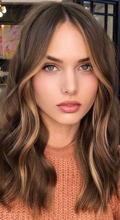 Balayage Brunette Long Fall Hair Face Framing, Chocolate Brown Hair With Toffee Highlights, Simple Hair Colour Ideas, Subtle Brown Hair Highlights, Subtle Wavy Hair, Face Frame Brown Hair, Simple Hair Color Ideas Brown, Subtle Face Frame Highlights, Simple Hair Color Ideas Highlights