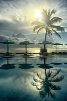 the sun is shining over an empty swimming pool with umbrellas and palm trees in the foreground