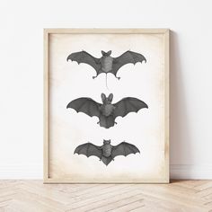 Goth Wall Art | Vintage Bat Illustration | Ollie + Hank Cute Bat Art, Bat Illustration, Goth Wall Art, Halloween Wallpaper Cute, Bat Art, Eclectic Gallery Wall, Cute Bat, 11x14 Print, 5x7 Print