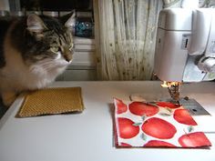 a cat sitting on top of a table next to a sewing machine and piece of cloth