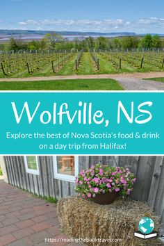 the wordswoofville, n s explore the best ofnova's food and drink on a day trip from halifax