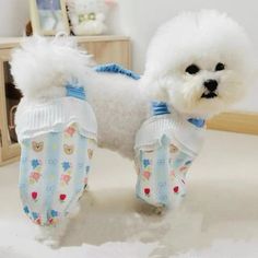 a small white dog standing on top of a floor