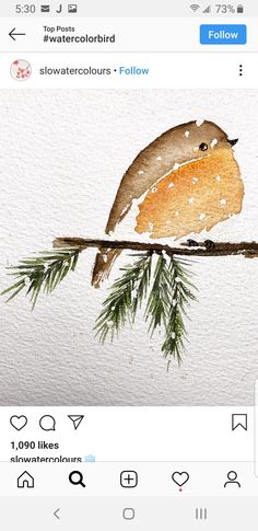 an image of a bird on a branch with snowflakes and pine needles in the background