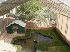 a dog house with a pond in the middle