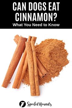 cinnamon sticks and cinnamon powder with the words can dogs eat cinnamon? what you need to know