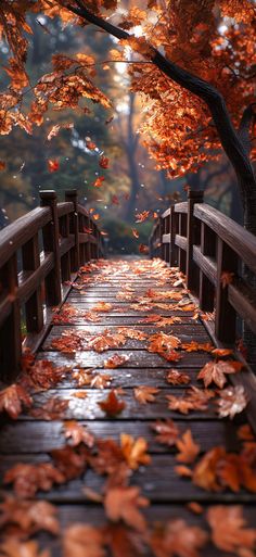 a wooden bridge that has fallen leaves on it