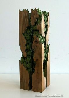 a piece of wood that has some plants growing out of it