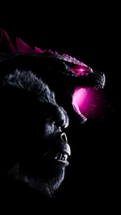 a black and white photo of a gorilla with a pink ball in its mouth on a dark background