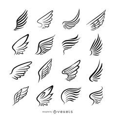 the wings of different shapes and sizes