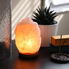 a table topped with a lamp next to a potted plant