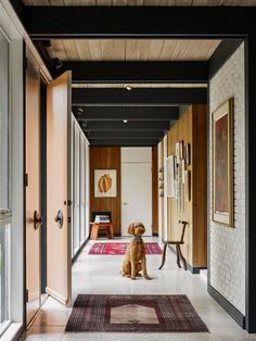 a brown dog sitting on top of a rug next to a doorway