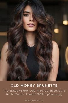 The Expensive Old Money Brunette (Gallery) | Rich Brunette Hair Color Trend 2024 | Expensive Brown Hair Aesthetic Inspo | Light brown hair | dark brown hair Perfect Brunette Hair Color, Dark Brown With Burgundy Balayage, Dark Hair With Olive Skin Tone, Brown Balayage Indian Hair, 3 Dimensional Hair Color Brunettes, Dark Hair For Brown Eyes, Dark Brunette Hair Blue Eyes, Mid Back Length Hair Styles, Bronze Balayage On Dark Hair