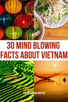 30 Interesting Facts About Vietnam To Know Vietnam Coffee, Travel To Vietnam, Vietnam Voyage