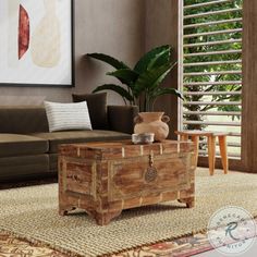 a living room with a couch, coffee table and potted plant in the corner