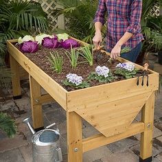 Veg Trug, Elevated Garden Bed, Raised Garden Beds Diy Vegetables, Elevated Garden, Garden Bed Layout, Elevated Gardening, Vegetable Planters, Garden Planter Boxes, Raised Garden Beds Diy