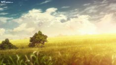 a field with trees and clouds in the background