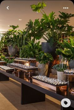 there are many potted plants on the tables in this room and one is filled with rocks