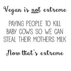 the words vegan is not extreme saying people to kill baby cows so we can steal their mothers milk now that's extreme