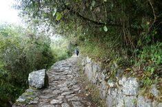 two people walking down a stone path in the woods