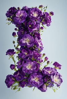 purple flowers are arranged in the shape of letter j