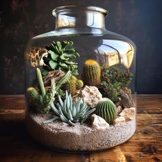 a glass jar filled with lots of different types of succulents and rocks