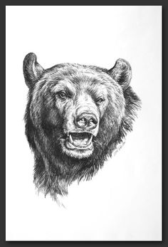 a black and white drawing of a bear's head