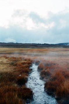 a stream running through a dry grass covered field