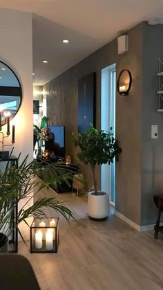 a living room filled with lots of plants and candles on the table next to it