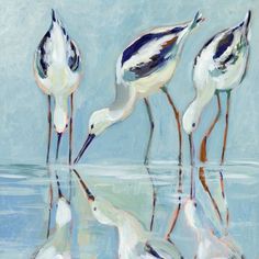 three birds are standing in the water and one is looking at its reflection on the surface