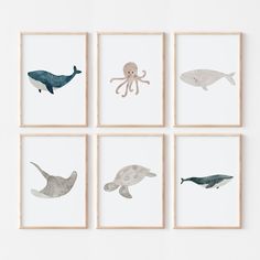 four framed pictures with sea animals on them