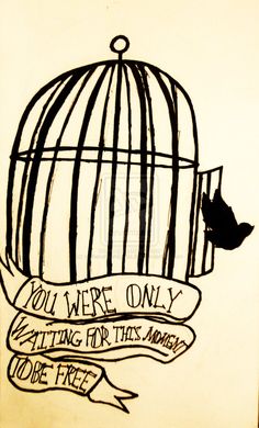 a drawing of a bird in a cage that says you were only waiting for this moment to be free