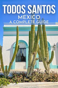 a cactus in front of a building with text overlay that reads todos sanitos mexico a complete guide