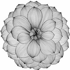 an abstract black and white drawing of a large flower with petals on it's center