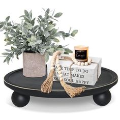 a potted plant sitting on top of a black table